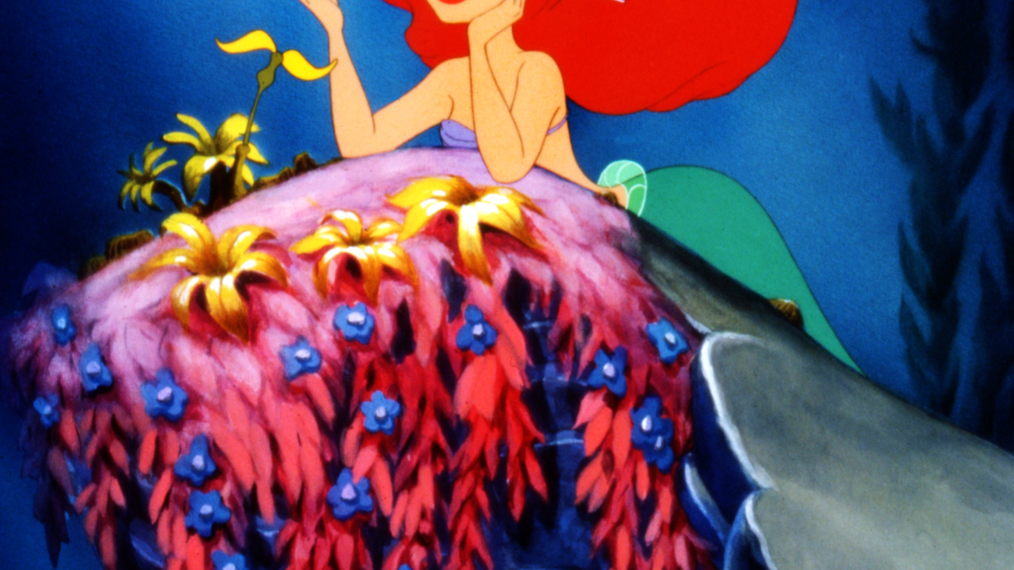 wifey s blow job fairy