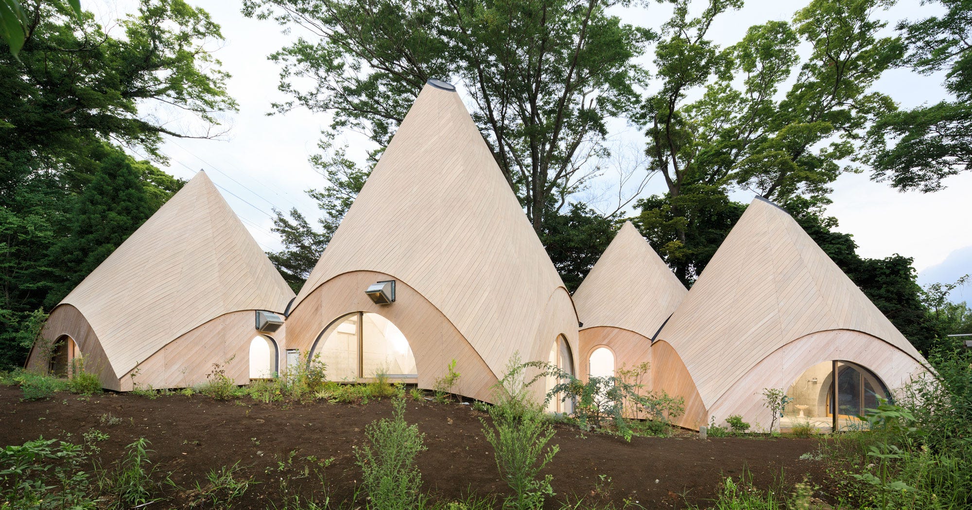 Enchanted Forest Home Japan Dreams