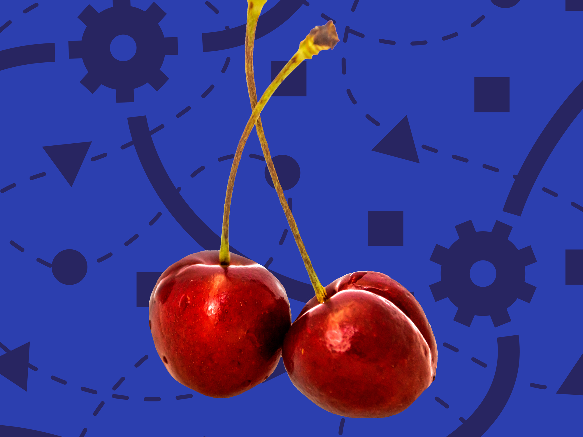 Cherry Pitter Review How To Pit Cherries