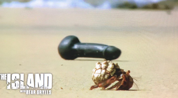 the grildo sex toy Quality : r/shitposting