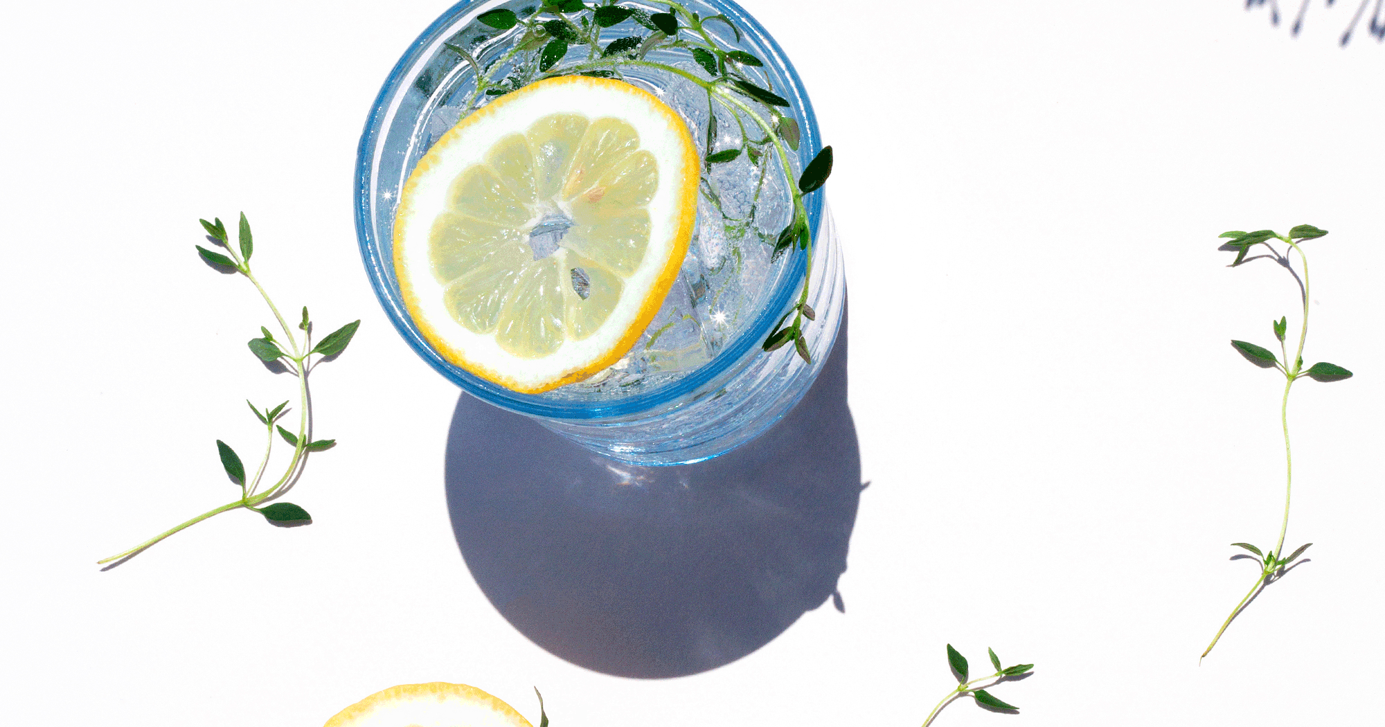 Best Gin and Tonic Recipes Easy and Creative