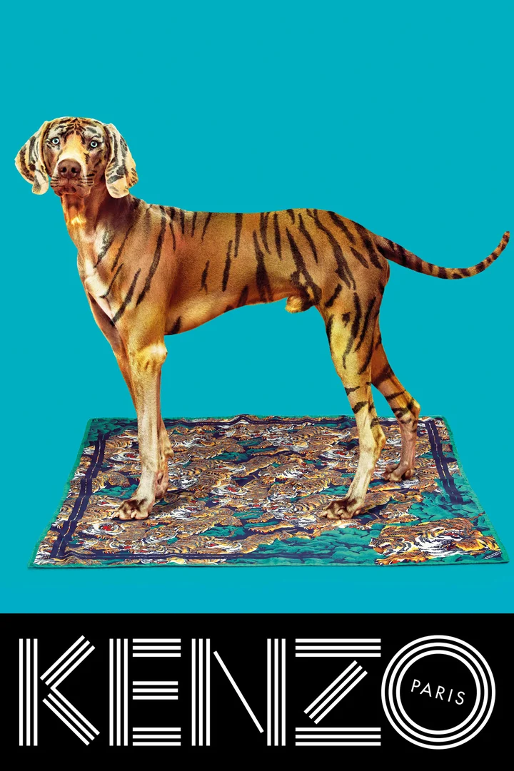 Kenzo Fall Campaign 2013 - Toilet Paper Magazine