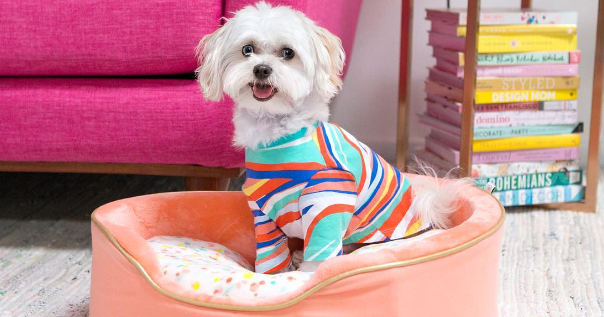 Target Oh Joy Dog Accessory Collection