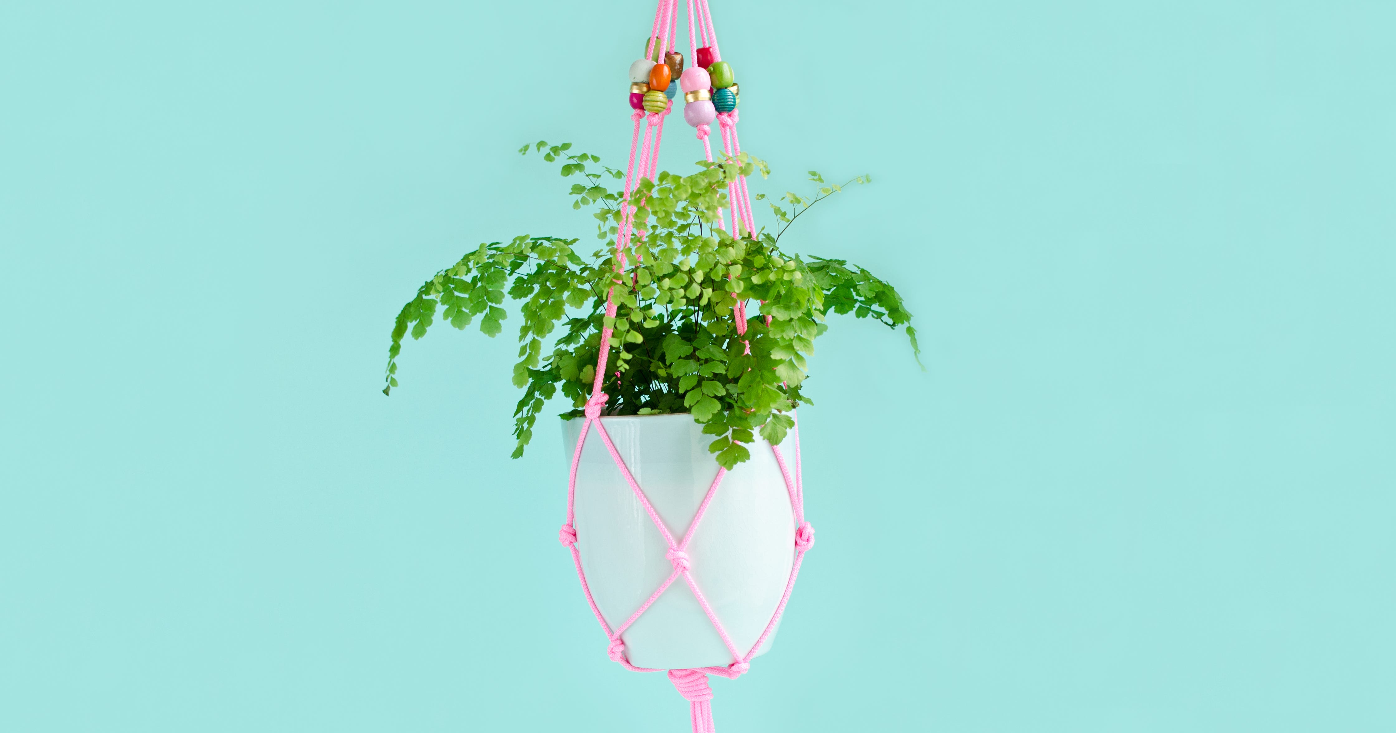 DIY Hanging Planter House Plants