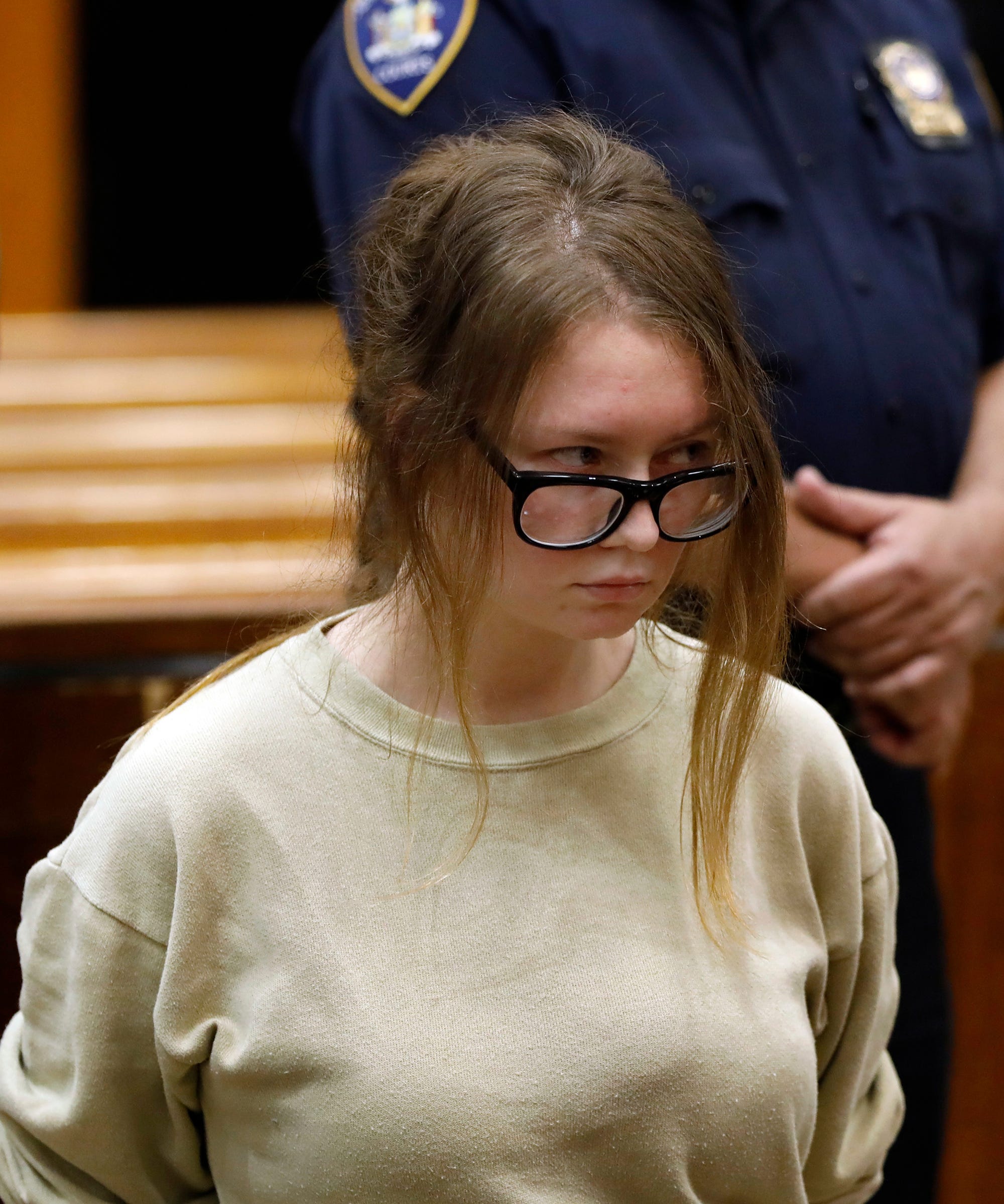 Anna Delvey Sorokin Lawyer Defends Innocence In Court