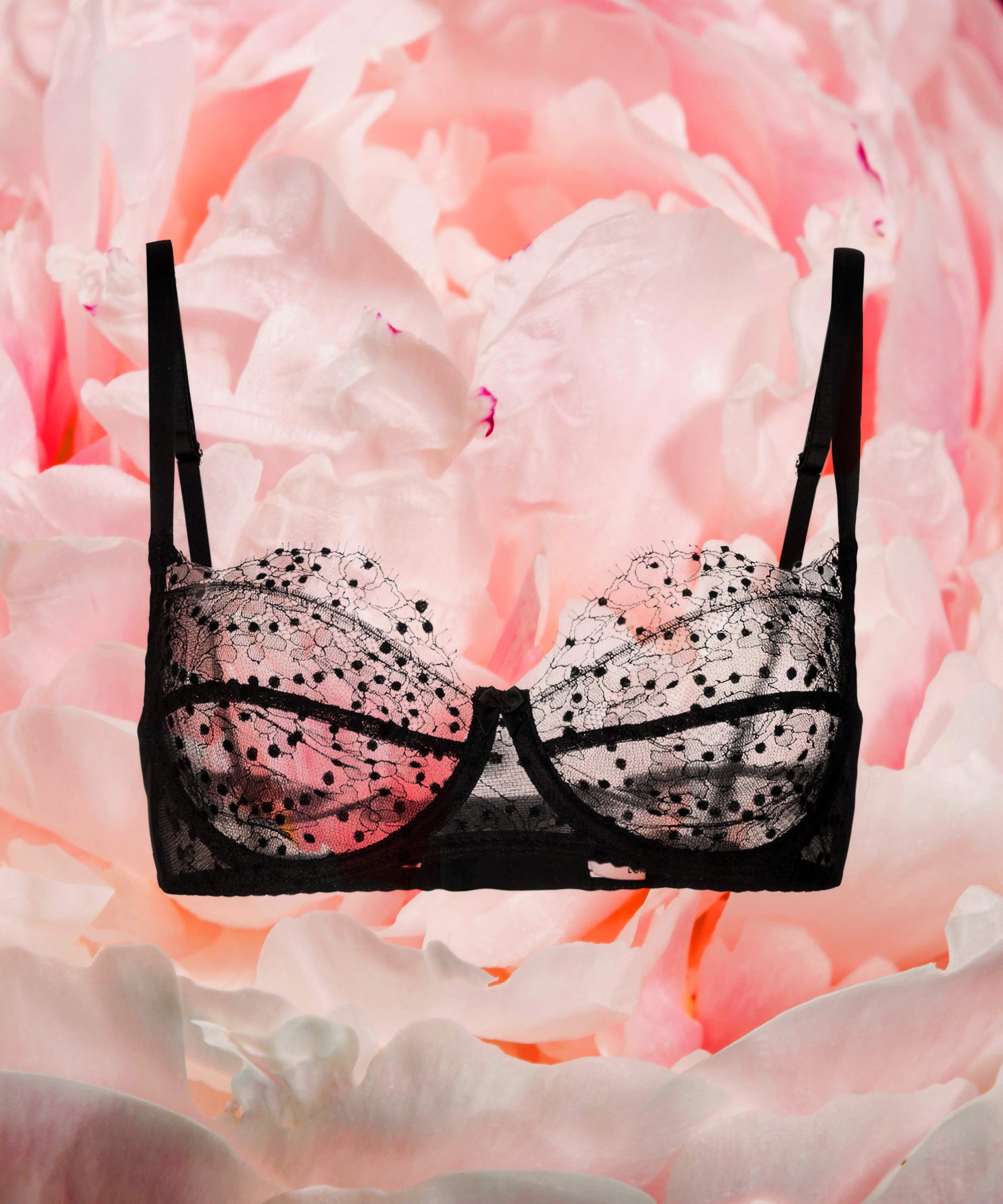 Best New Lingerie Underwear Brands