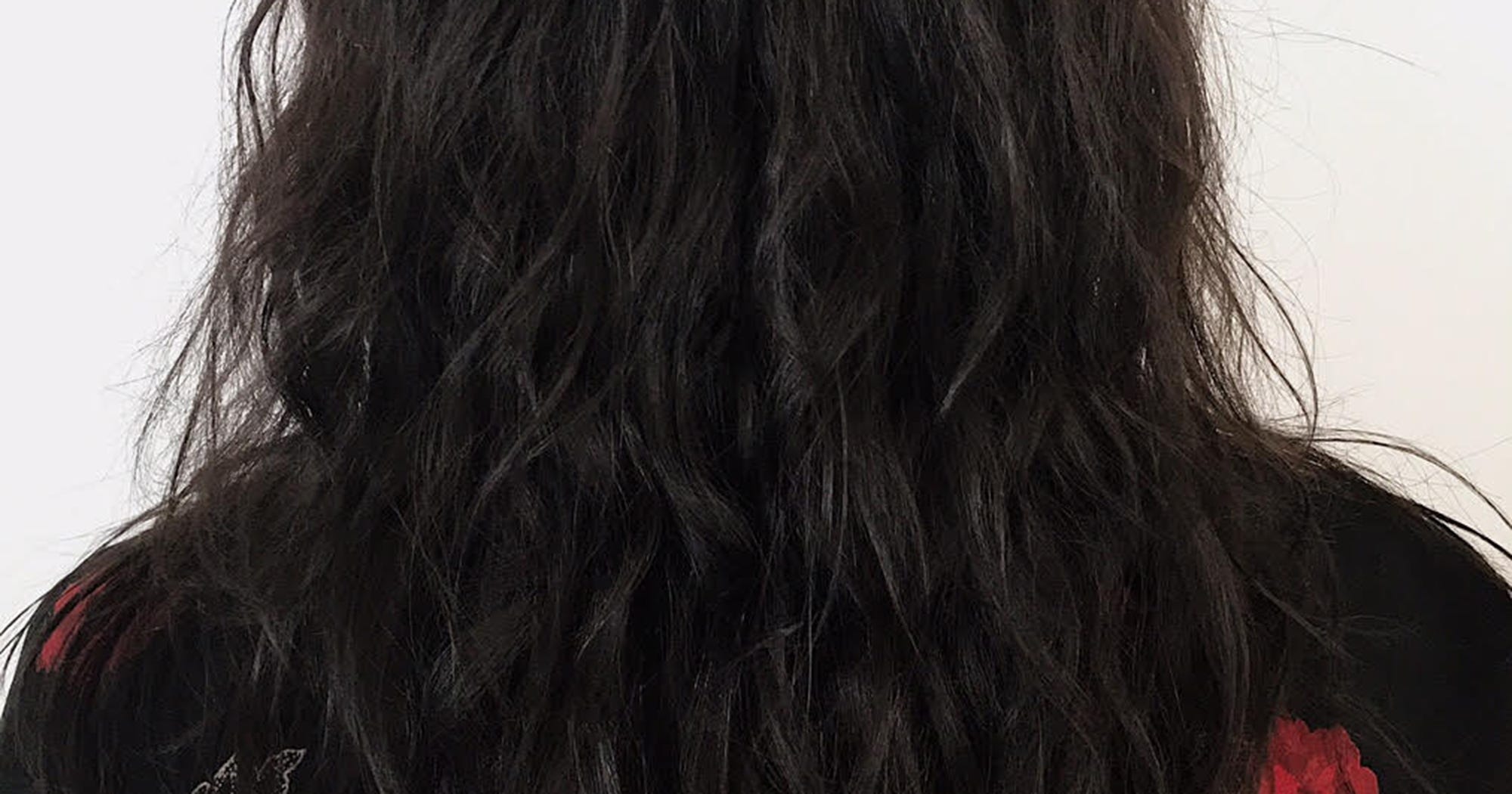 Living Proof Perfect Hair Day In Shower Styler Review