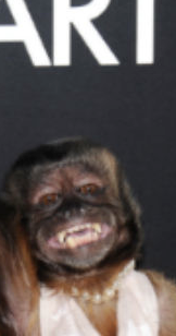 Hollywood Salaries - 5 Strange Facts Hollywood Reporter