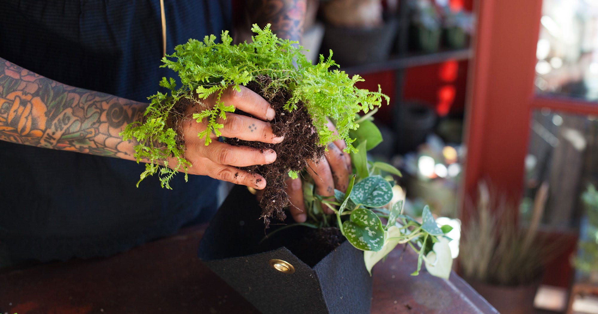 Garden Tech Products - Gardening Technology