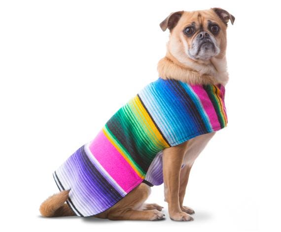 Baja Ponchos + Authentic Mexican Blanket Dog Poncho